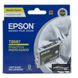 Epson R2400 Light Black Ink Cartridge